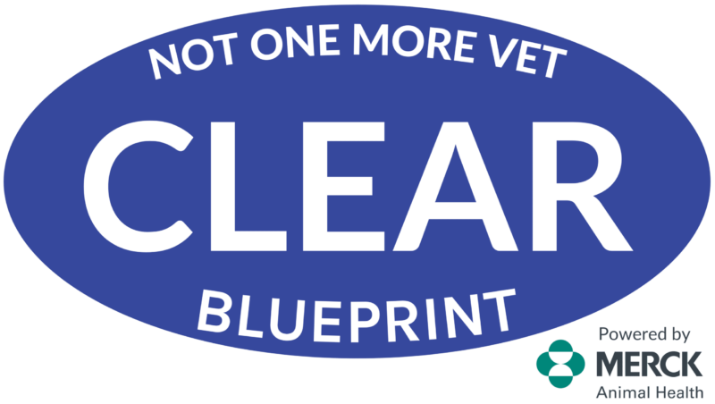 CLEAR-blueprint-logo